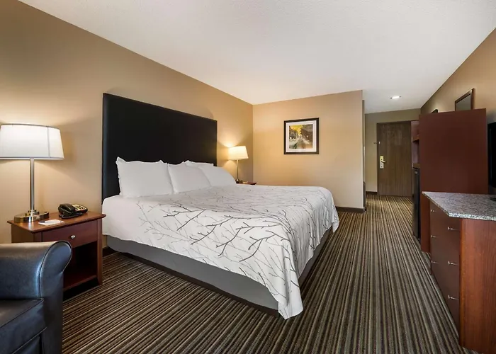 Best Western Park Oasis Inn