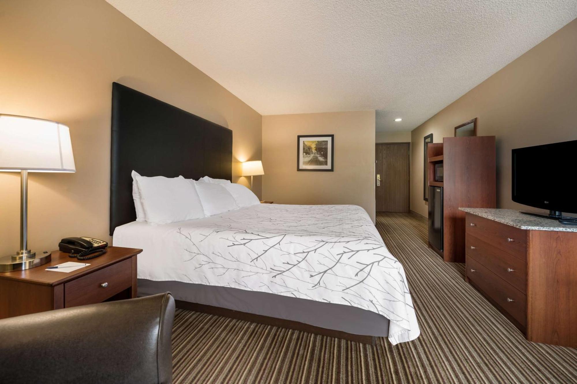 Western Park Oasis 3*